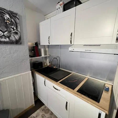 Διαμέρισμα Studio Cabine Avec Balcon Near Ski Lifts, Forest View, Sleeps 4, Elevator - Fr-1-593-92 *